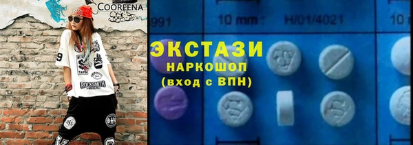 индика Коряжма