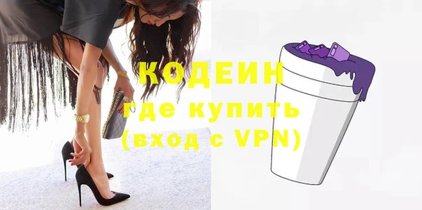 индика Коряжма