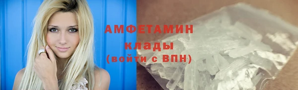 индика Коряжма