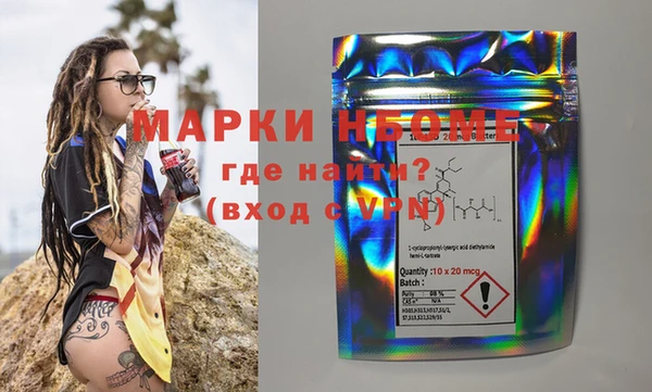 индика Коряжма