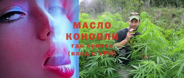 индика Коряжма