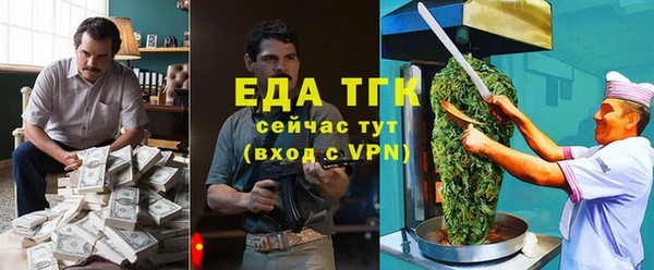 индика Коряжма