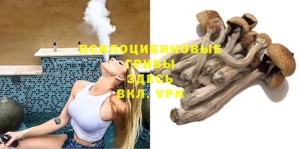мяу мяу мука Корсаков