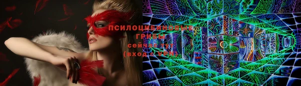 ГАЛЛЮЦИНОГЕННЫЕ ГРИБЫ Рославль