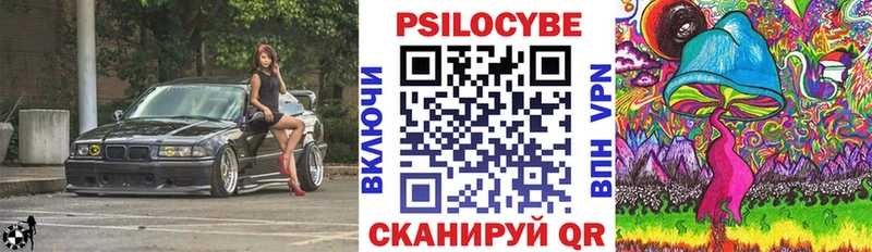 Галлюциногенные грибы мицелий  наркотики  Сухиничи 