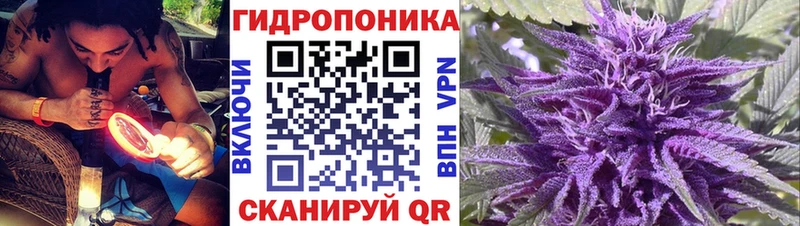 Каннабис индика Сухиничи